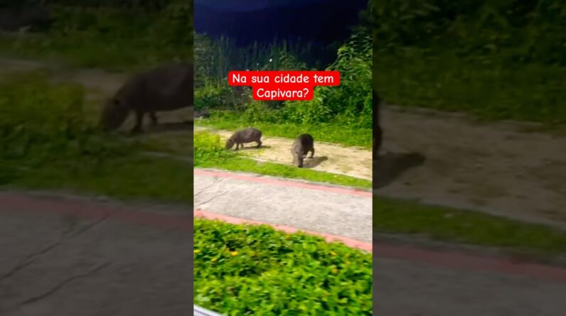 16 de fevereiro de 2026