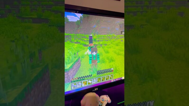 4 de fevereiro de 2026