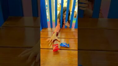 7 de fevereiro de 2026