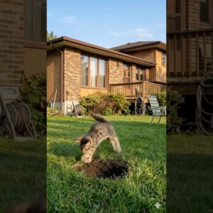 8 de fevereiro de 2026