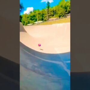 8 de fevereiro de 2026